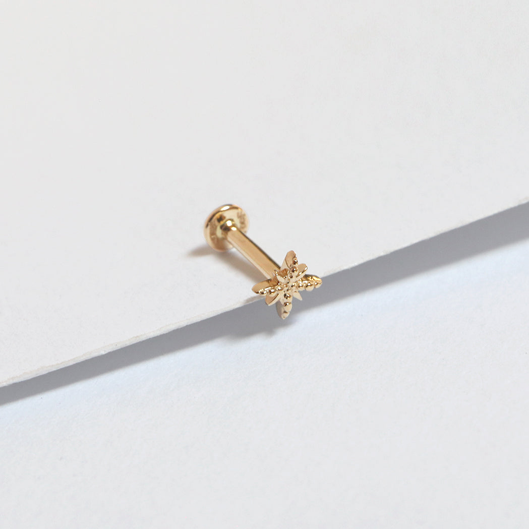 Piercing_North_Star_YG